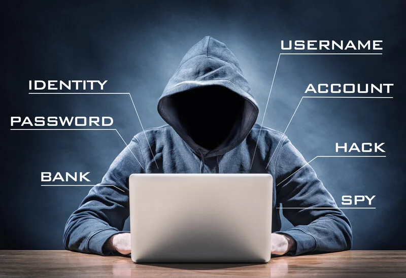 Ways Through Which Hackers Gain Access to WordPress Websites